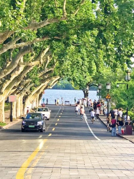 开车哪条路能看见西湖？