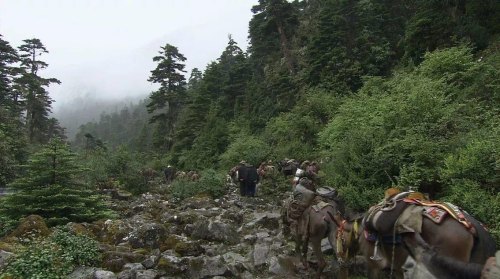茶马古道经过的山脉是？