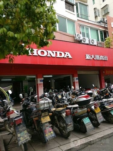 河南省南阳市有新大洲本田摩托车专卖店吗？