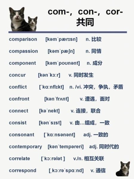 railway的词根是？