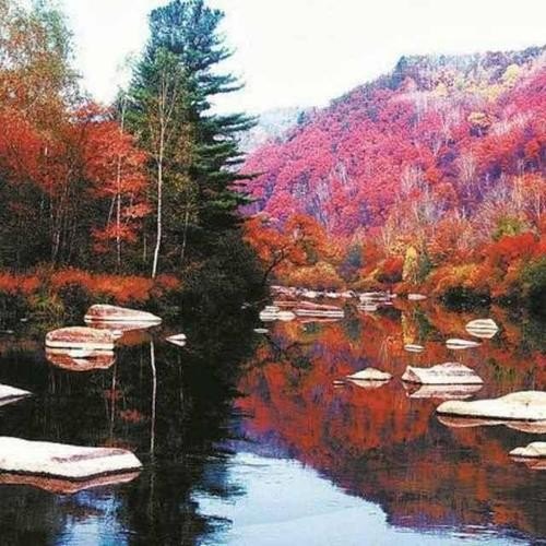 秋枫谷在双鸭山什么地方？