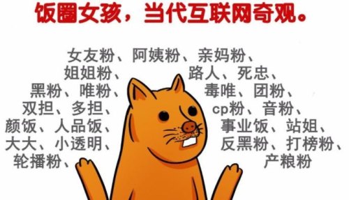面对饭圈文化我们应该怎么做