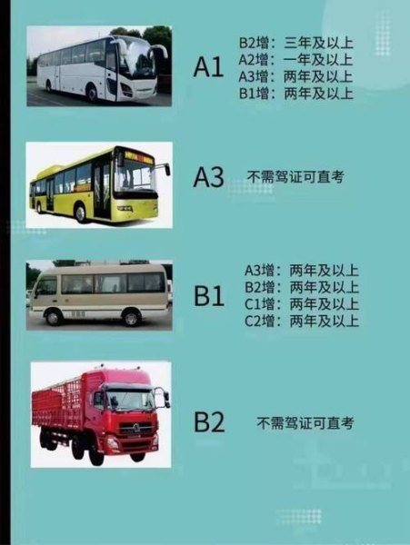 澳大利亚b2驾照开什么车？