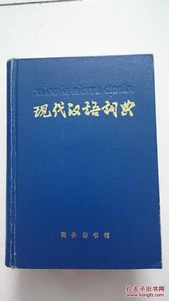 青春偶像的定义现代汉语词典