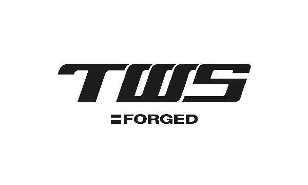 TWS轮毂