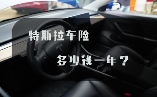 特斯拉可以不买商业险吗？