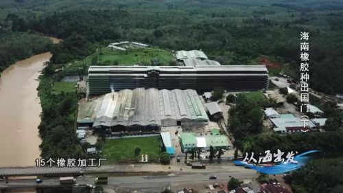 印尼最大的橡胶公司？