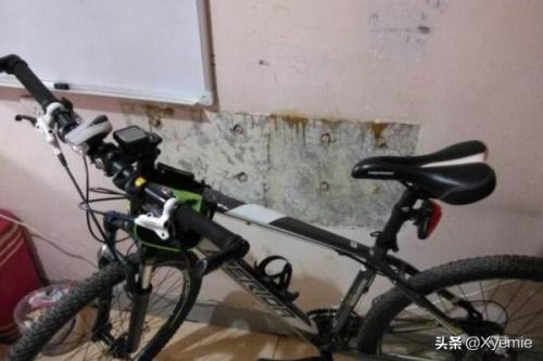 什么牌子的自行车性价比高？