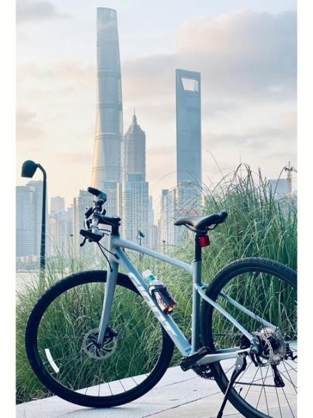 捷安特经典城市车? 捷安特经典城市车?