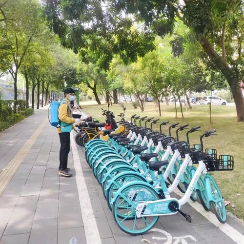 深圳共享单车有哪几家？