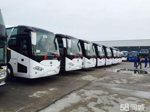 温州a1大客车司机招聘