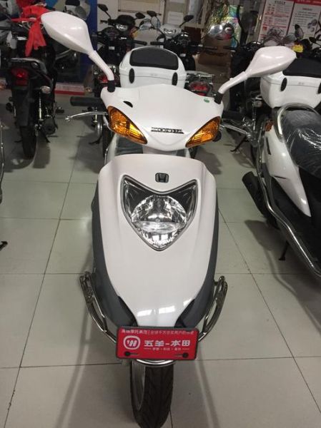 佳颖，海王星，本田小公主，那个好？详细介绍下？