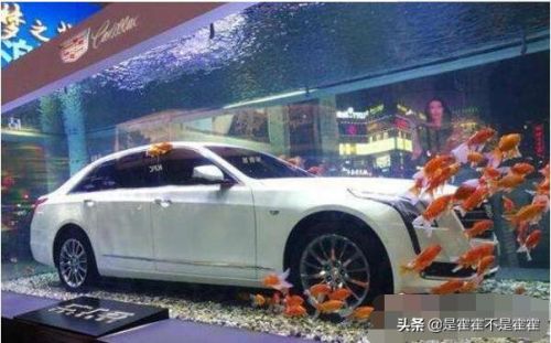 凯迪拉克追高铁事件是真实事件吗？