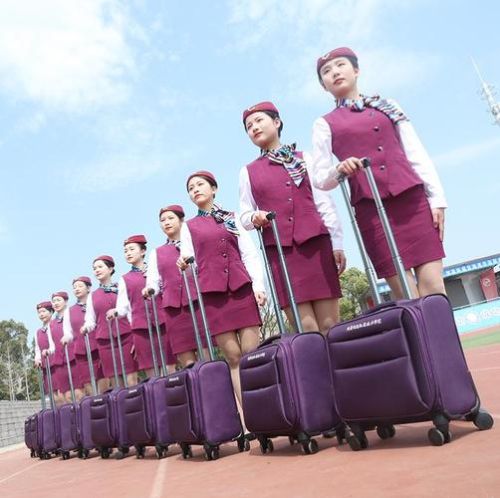 福建高铁乘务专业学校? 福建高铁乘务专业学校?