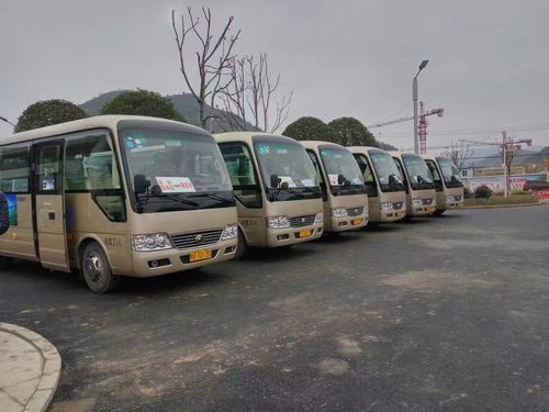 高一级客车长什么样？