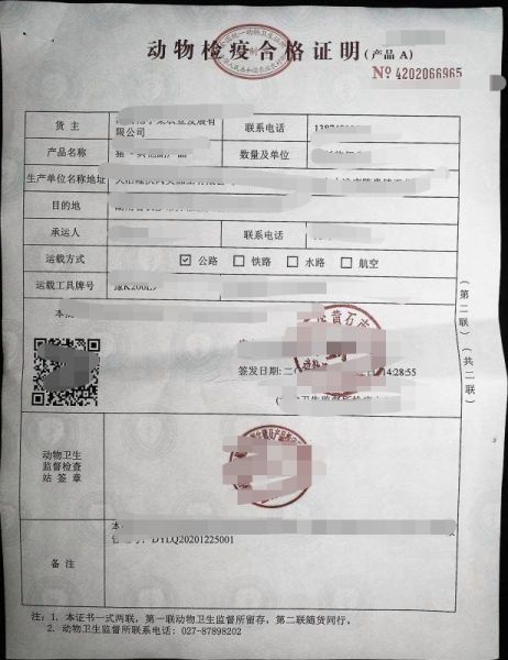 仓鼠怎么带上高铁？