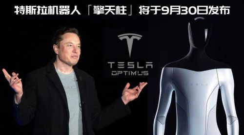 特斯拉机器人什么时候上市？