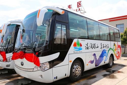 旅游客运车辆客运运行班线客车吗
