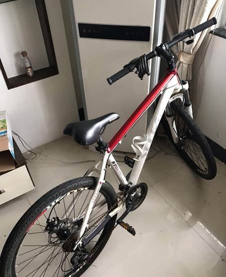 seefar是什么品牌自行车？