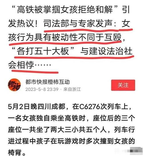 高铁掌掴事件杨姓女士是哪里人