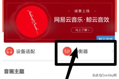 网易云音乐怎么调高低音? 网易云音乐怎么调高低音?