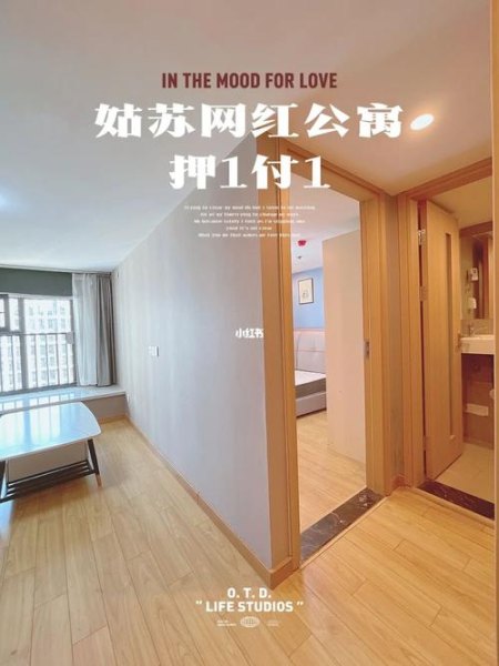 苏州高铁站旁公寓多少钱一套