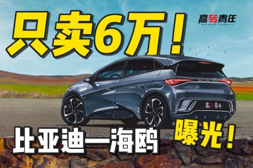 比亚迪海鸥舒适停车是什么意思？