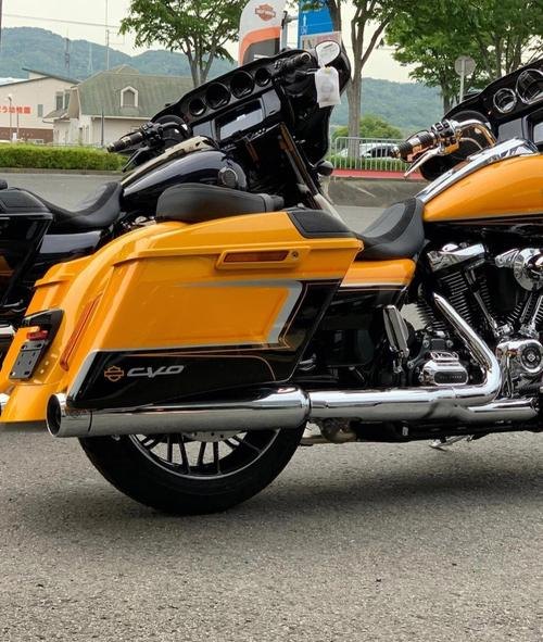 哈雷款的摩托都有什么牌子的？