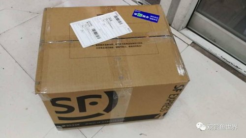 顺丰发自行车怎么包装? 顺丰发自行车怎么包装?