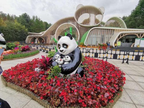 灌县古城怎么去熊猫谷？