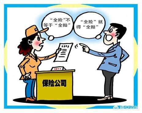 全险包括什么？