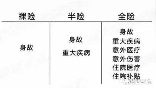全险包括什么？