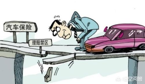 全险包括什么？