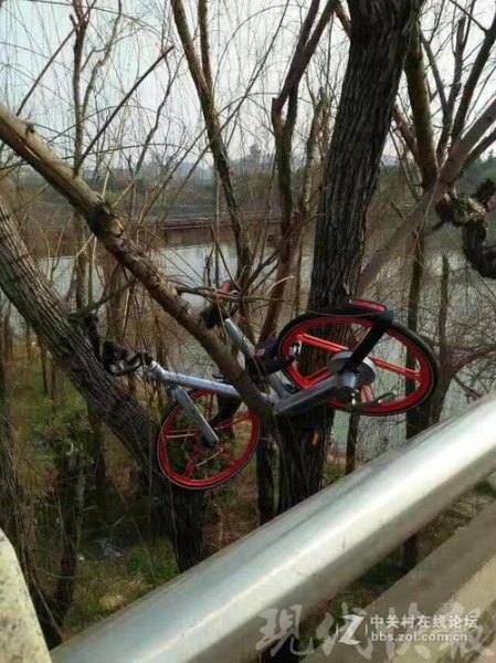 共享单车搞笑段子？