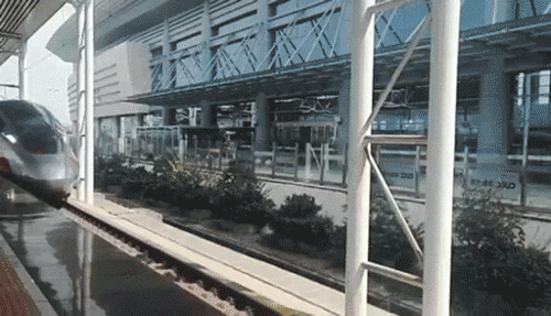 携程怎么查高铁动态？