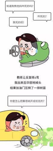 学车时，驾校教练骂你的最搞笑的话是什么？