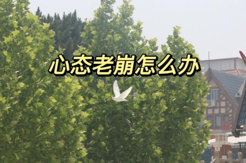 科三一直不过心态崩了怎么办？