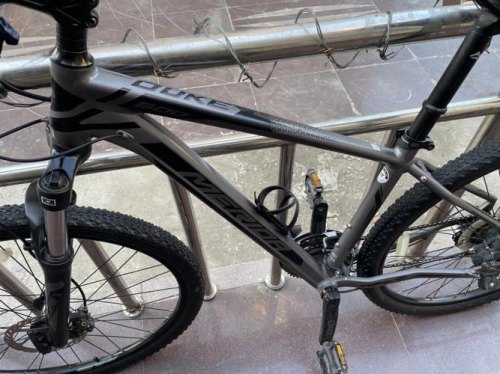 有浮雕的公爵600是什么款? 有浮雕的公爵600是什么款?