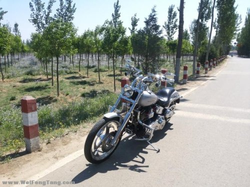 哈雷放小区容易怕丢吗？