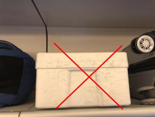 坐高铁冰冻的东西如何携带 坐高铁冰冻的东西如何携带