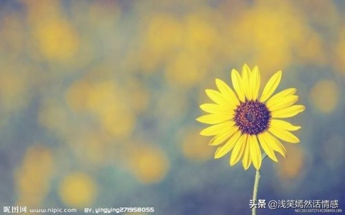 如何才能让自己忘掉一段不好的记忆，彻底忘记？