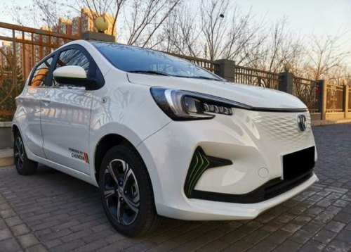 30万以内落地的电动汽车有哪些推荐？具体指导价是多少，补贴多少？