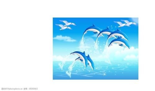 海豚与海鸥参数对比？