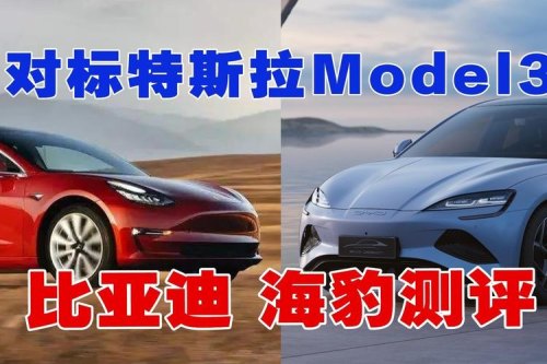 鲶鱼效应来了，比亚迪涨价，特斯拉降价，2023年买电车PICK谁？