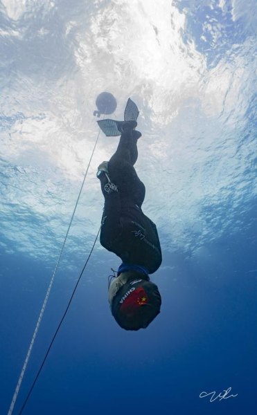 自由潜世界纪录？