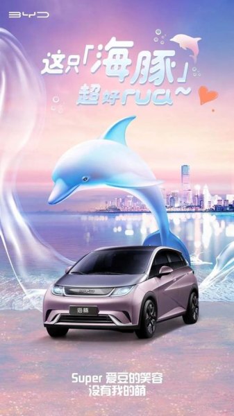 比亚迪海鸥和海豹怎么选？