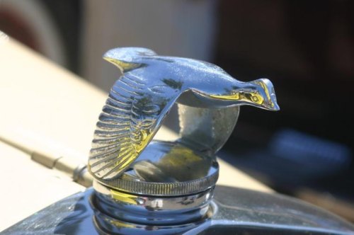 鹦鹉车标是什么车？