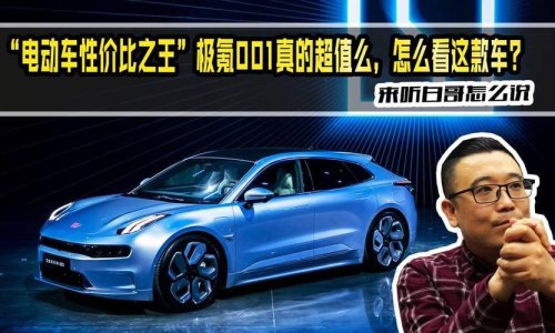 极氪王是什么？