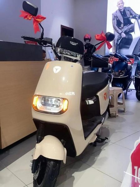 雅迪2.0E8-110价格？