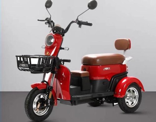 70-80岁电动车价格？